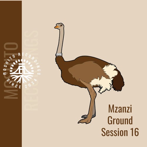 Mzanzi Ground Sessions 16 (2025) - Moshito Recordings
