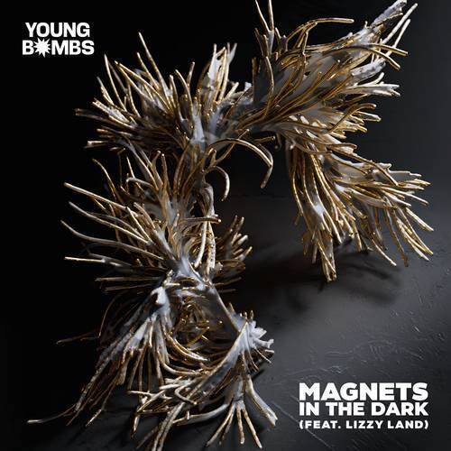 Magnets in the Dark (Extended Mix)