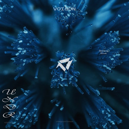  Voison - Seeing Blue (2026) 