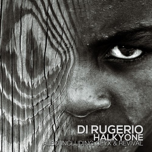 Cover art for Halkyone