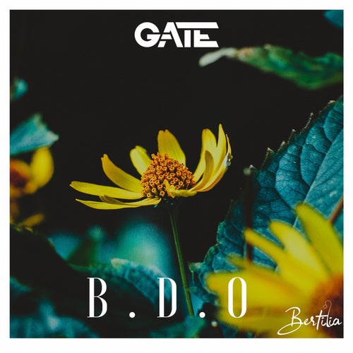 Bdo