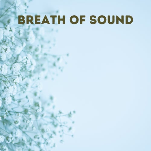 Breath of Sound