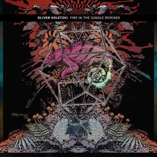 Cover art for Fire In The Jungle Remixed