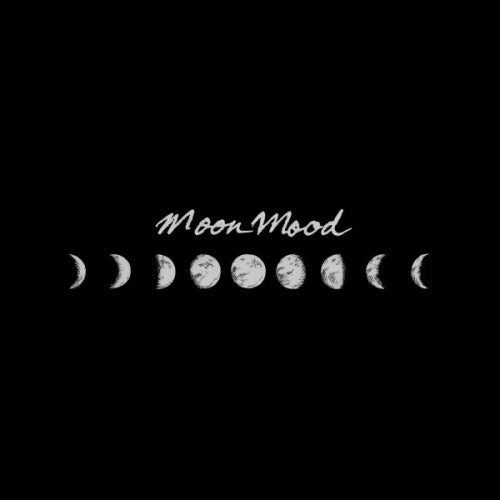 Moon Mood Records