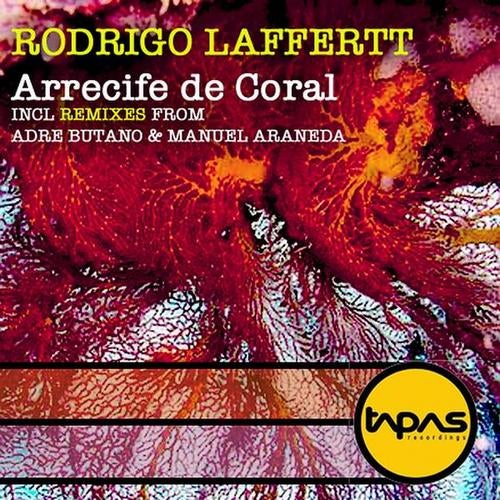 Arrecife De Coral