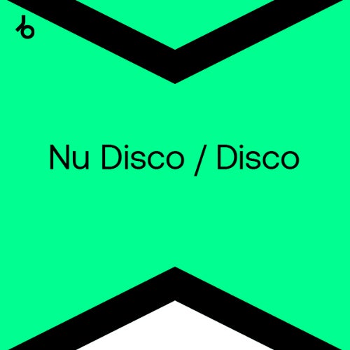 Best New Nu Disco / Disco: November