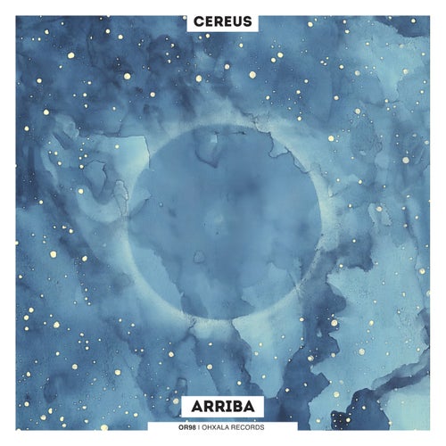  Cereus - Arriba (2025) 