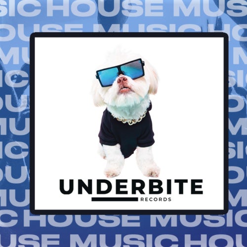 Underbite Records
