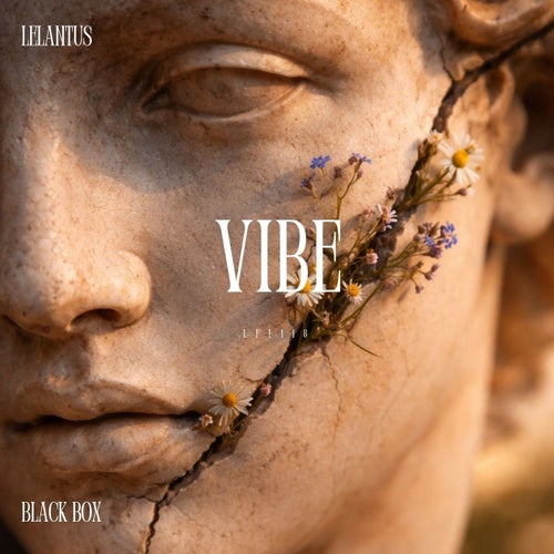Vibe