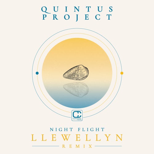Night Flight (Llewellyn Remix)