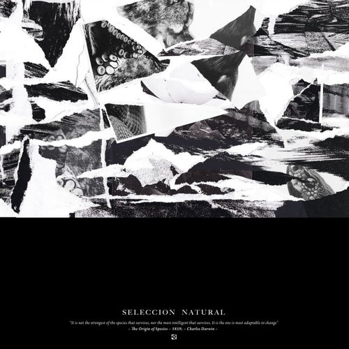 Seleccion Natural - Digital Bonus EP