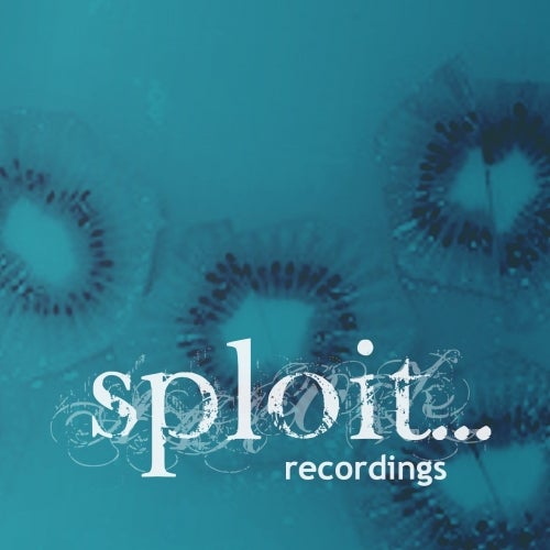 Sploit Recordings