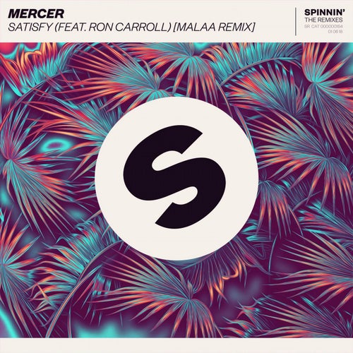 Satisfy (feat. Ron Carroll)
