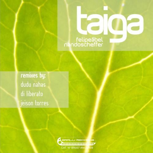 Taiga Remixes