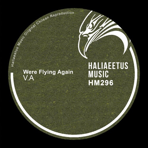 Were Flying Again [Haliaeetus Music] FLAC - Haliaeetus Music (Deep House,Minimal / Deep Tech) Album Cover