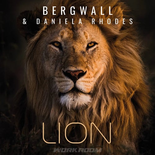 Cover art for Lion