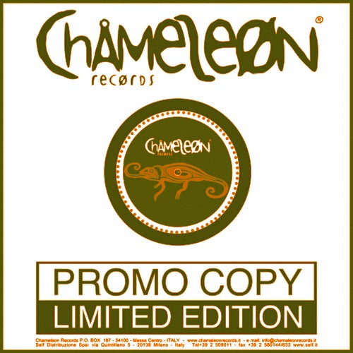 Chameleon Groove EP