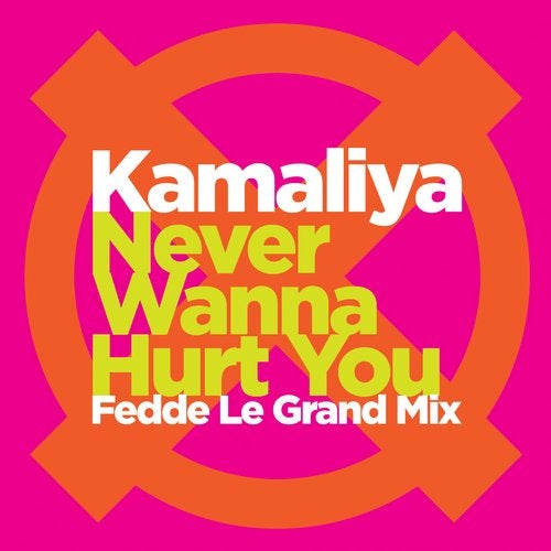 Never Wanna Hurt You (Prince Igor) [Fedde Le Grand Club Mix]