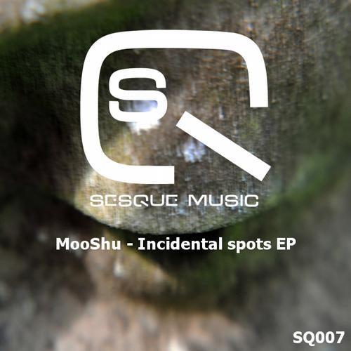 Incidental spots EP