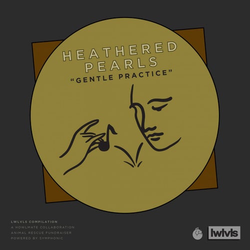 Gentle Practice