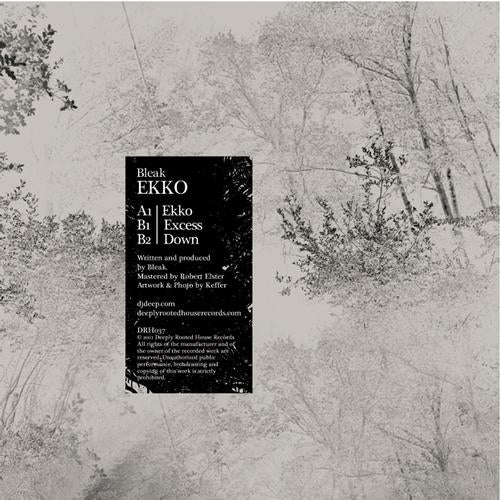 Bleak Ekko EP