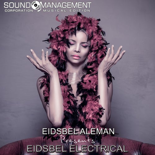 Eidsbel In Electrìcal
