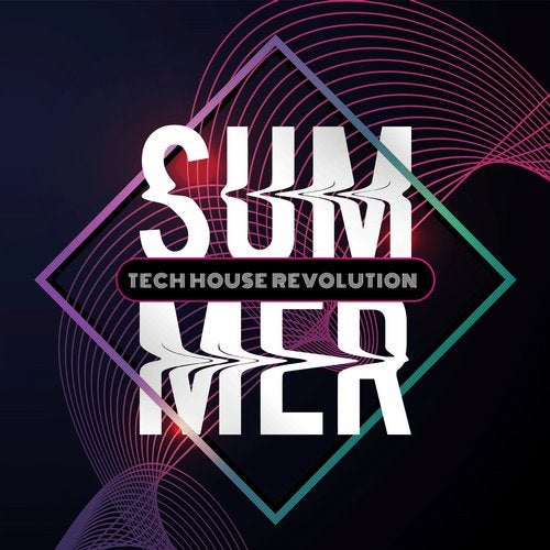 Cover art for Summer Tech House Revolution