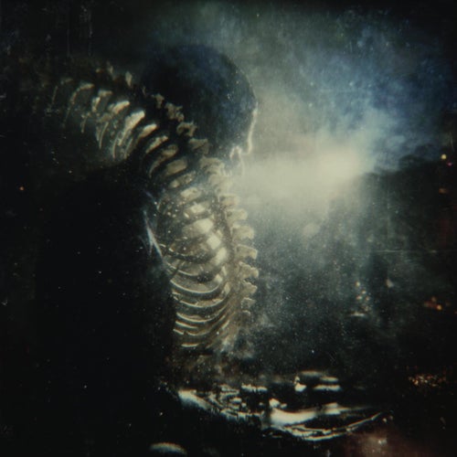 Beneath The Ribs