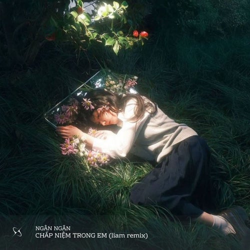 Chấp Niệm Trong Em (Liam Remix)