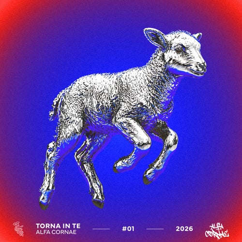 Torna in te