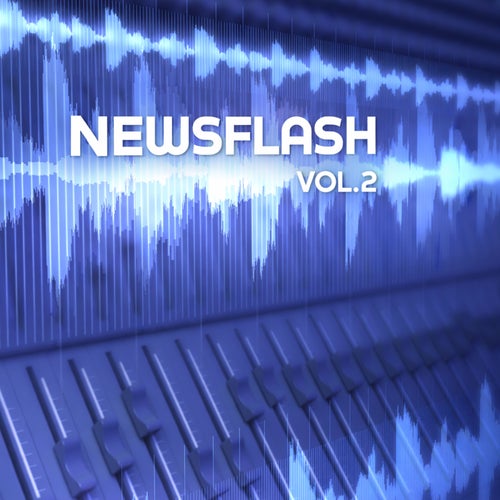 Newsflash, Vol. 2