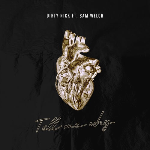Tell Me Why (feat. Sam Welch)