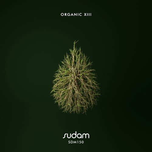 Cover art for Organic XIII