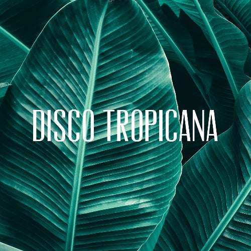 Disco Tropicana Records