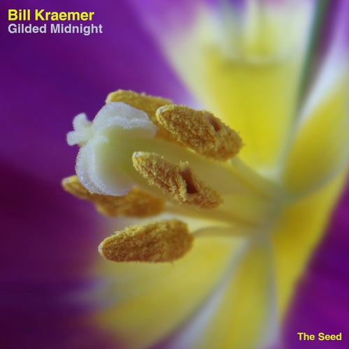 Cover art for Gilded Midnight