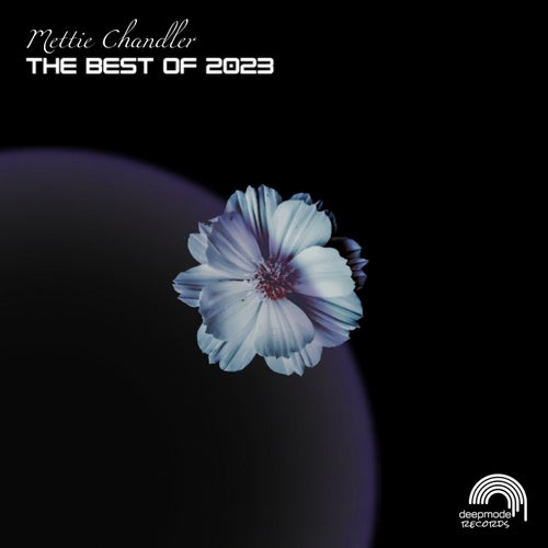 The Best of 2023