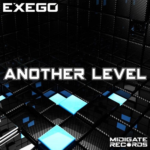 Another Level