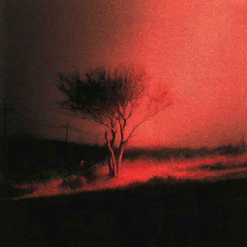 Piss In The Wind (Bonus Track Version)