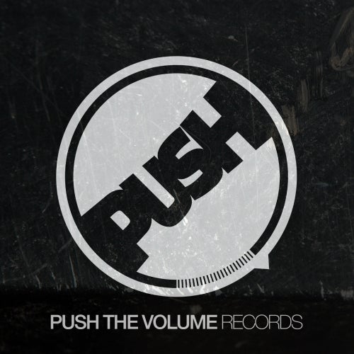Push The Volume Records