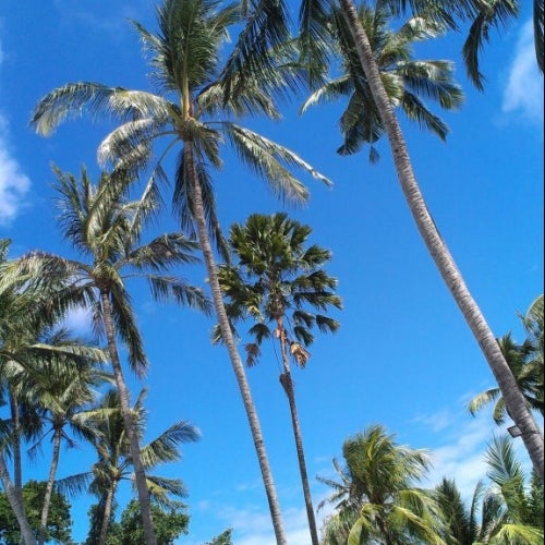 Passa's Bali Moments