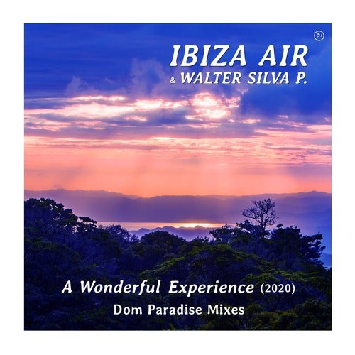 A Wonderful Experience (Dom Paradise Remix 2020)