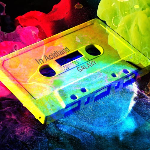 Cover art for In Acidland