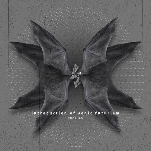 Introduction Of Sonic Futurism
