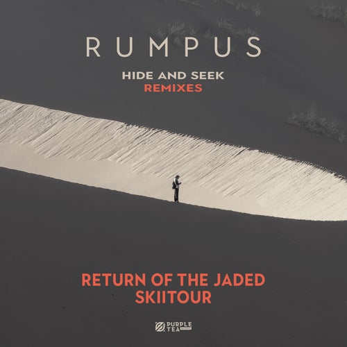 Hide and Seek (Remixes)