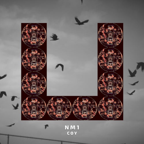 NM1