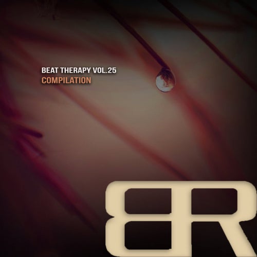 Beat Therapy, Vol. 25 Compilation