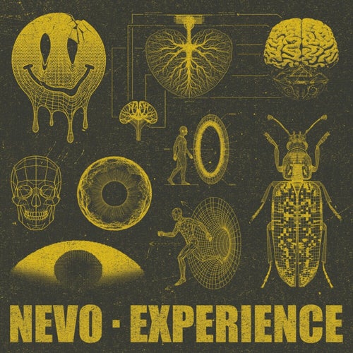  Nevo - Experience (2026) 
