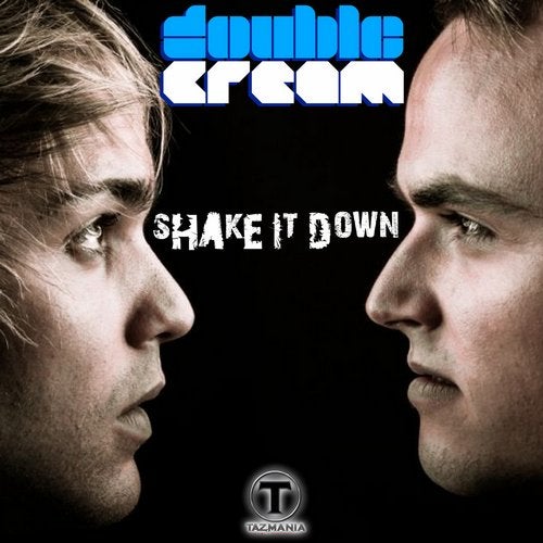 Shake It Down - Single