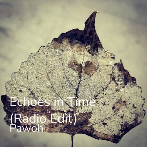 Echoes in Time (Radio Edit)