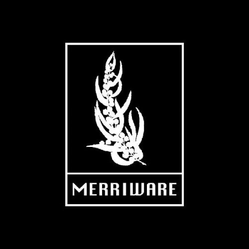 Merriware Records